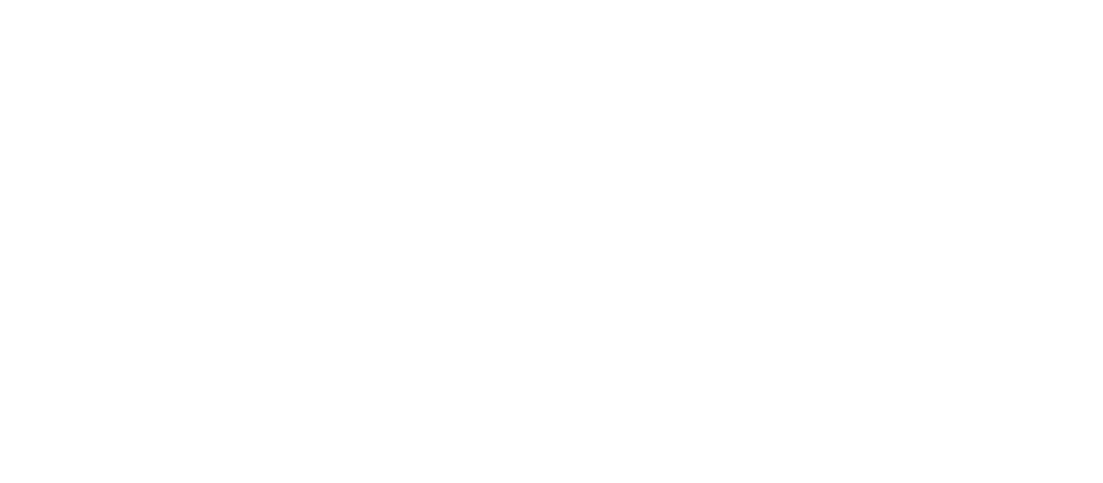 Logo da Birdview