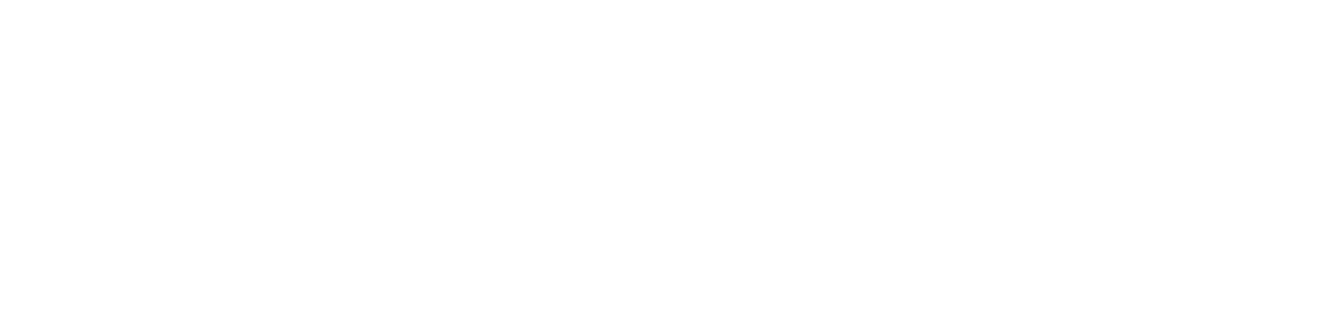 Logo da TWM Simuladores